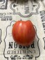 Tomato 'Don Juan' Seeds (Certified Organic)