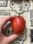 Tomato 'Don Juan' Seeds (Certified Organic)