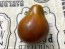 Tomato 'Bedouin' Seeds (Certified Organic)