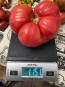 Tomato 'Russian Rose' Seeds (Certified Organic)