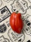 Tomato 'Federle' Seeds (Certified Organic)