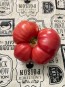 Tomato 'Russian Rose' Seeds (Certified Organic)