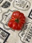 Tomato 'Mandarina Red' Seeds (Certified Organic)