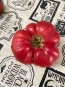 Tomato 'Russian Rose' Seeds (Certified Organic)