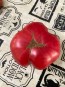 Tomato 'Russian Rose' Seeds (Certified Organic)