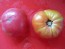 Tomato 'Seek-No-Further Love Apple'