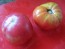 Tomato 'Seek-No-Further Love Apple'