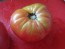 Tomato 'Seek-No-Further Love Apple'