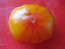 Tomato 'Big Rainbow' Seeds (Certified Organic)