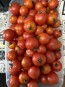 Tomato 'Red Cherry Heirloom' Seeds (Certified Organic)