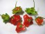 Crushed Bishop's Crown (Balloon) Peppers Harvested on our Farm, Certified Organic