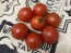 Tomato 'Be My Baby' Seeds (Certified Organic)