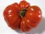 Tomato 'Costoluto Genovese'