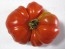 Tomato 'Costoluto Genovese'