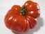 Tomato 'Costoluto Genovese'