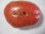 Tomato 'Caspian Pink'