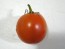 Tomato 'Versalskie' 