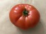 Tomato 'Cosmonaut Volkov' Seeds (Certified Organic)