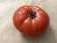 Tomato 'Cosmonaut Volkov' Seeds (Certified Organic)