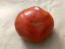 Tomato 'Cosmonaut Volkov' Seeds (Certified Organic)