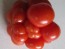Tomato 'Reisetomate' Seeds (Certified Organic) 