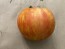 Tomato 'Red Striped Furry Hog' Seeds (Certified Organic)