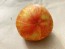 Tomato 'Red Striped Furry Hog' Seeds (Certified Organic)