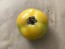 Tomato 'Evan's Supersaver' Seeds (Certified Organic)