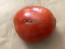 Tomato 'Sunset's Red Horizon' Seeds (Certified Organic)