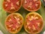 Tomato 'Rev. Morrow's Long Keeper' Seeds (Certified Organic)