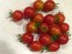 Tomato 'Supersweet 100 F2' Seeds (Certified Organic)