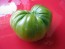 Tomato 'Green Giant' 