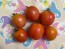 Tomato 'German Lunchbox' Seeds (Certified Organic)