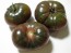 Tomato 'Black From Tula' Seeds (Certified Organic)
