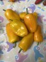 Sweet Pepper 'Lunch Box Yellow' Seeds (Certified Organic)