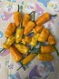 Hot Pepper 'Fish Orange' Seeds (Certified Organic)