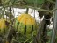 The Ultimate Gourd Seed Mix