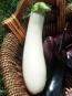 Eggplant ‘Casper’ Seeds (Certified Organic)