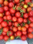 Tomato 'Remy Rouge' Seeds (Certified Organic)