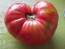 Tomato 'Brandywine'