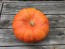 Pumpkin 'Cinderella' Seeds (Certified Organic) 
