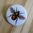 Golden Bee Pinback Button