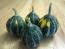 The Ultimate Gourd Seed Mix