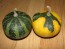 The Ultimate Gourd Seed Mix