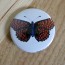 Orange and Black Butterfly Pinback Button