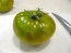Tomato 'Izumrudnoye Yabloko' AKA 'Emerald Apple' 