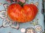 Tomato 'Legs Diamond' 