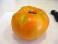 Tomato 'Goldie' 