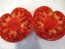 Tomato 'Sandul Moldovan'