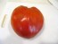 Tomato 'Reif Red Heart' 